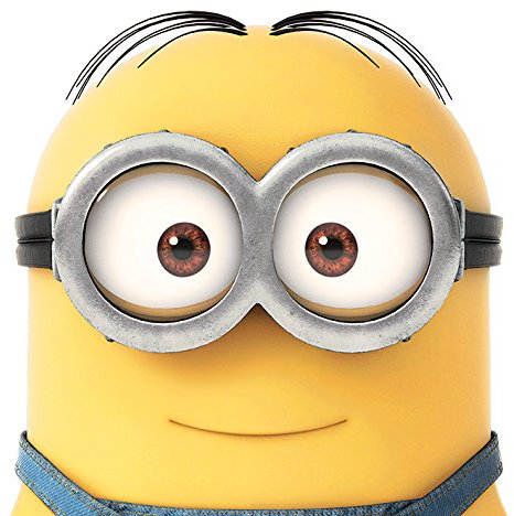 Despicable Me Smile, 40 x 40 cm, Leinwanddruck