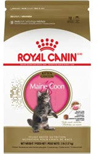 Royal Canin Kitten Maine Coon, 1er Pack (1 x 2 kg)