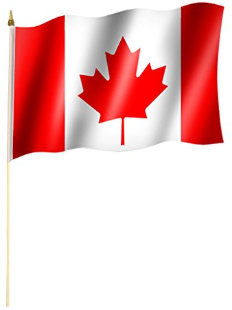 Stockflagge/Stockfahne KANADA/CANADA Flagge/Fahne ca. 30 x 45 cm mit ca. 60cm Stab/Stock