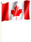 Stockflagge/Stockfahne KANADA/CANADA Flagge/Fahne ca. 30 x 45 cm mit ca. 60cm Stab/Stock
