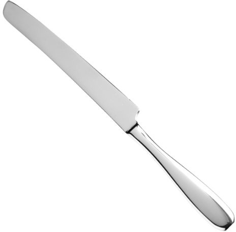Fortessa Grand City 18/10 Stainless Steel Flatware Serrated Cake Knife , Silver -