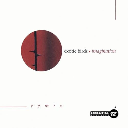 Imagination