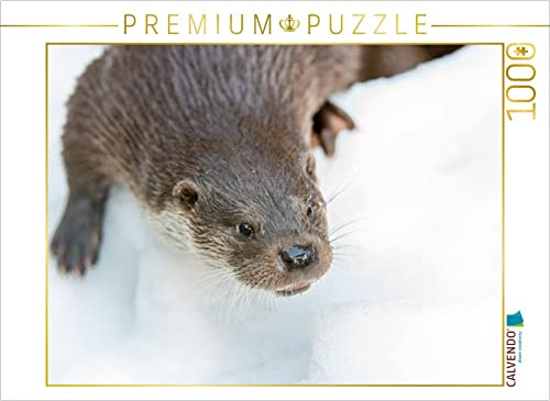 CALVENDO Puzzle Fischotter | 1000 Teile Lege-Größe 64 x 48 cm Foto-Puzzle für glückliche Stunden