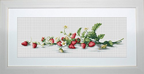 LUCAS-S Etude with Strawberries Counted Cross Stitch Kit, Pack of 1