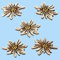 Tafeldeko.de 10er Pack Edelweiss Holz Tischdeko