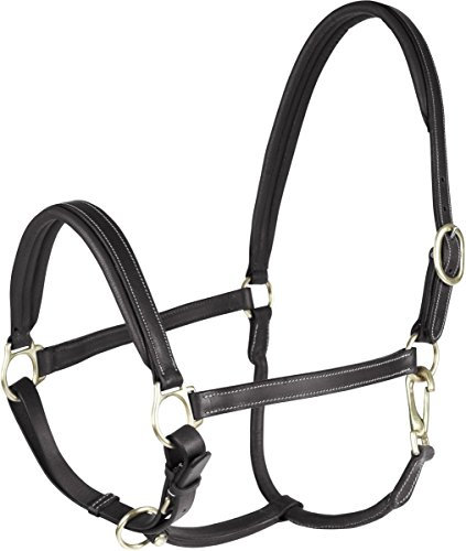 HORZE Largo Leather Halter - Genuine Leather, Adjustable Padded Noseband and Crown with Snap Hook and Brass Hardware - Black - Shetland