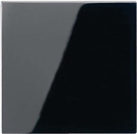 Jung A590SW Wippe f. Schalter/Taster