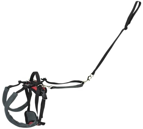 PetSafe CareLift Hinteres Stützgeschirr - Hebehilfe mit Griff - Ideal für Haustier-Mobilität und ältere Hunde - Bequemes, atmungsaktives Material - Einfach einzustellen - Klein, Rot