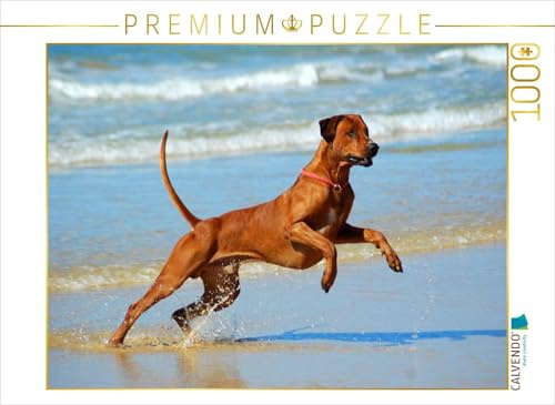 Puzzle · EIN Motiv aus dem Kalender Rhodesian Ridgebacks in Aktion | 1000 Teile · Lege-Größe 64 × 48 cm · CALVENDO Puzzle