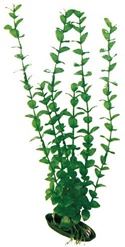 Amtra Wave Plant Classic Rotala MD