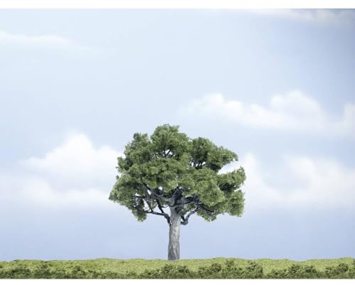 Woodland WS 1 Walnut Tree 10 cm