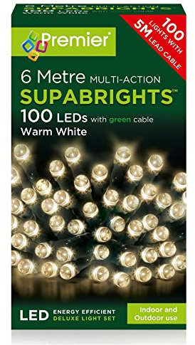 100 Multi Action LED Christmas Lights (Warm White)