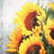 20 Servietten Clara Sonnenblumenbund/Sommer/Sonnenblumen/Blumen 33x33cm
