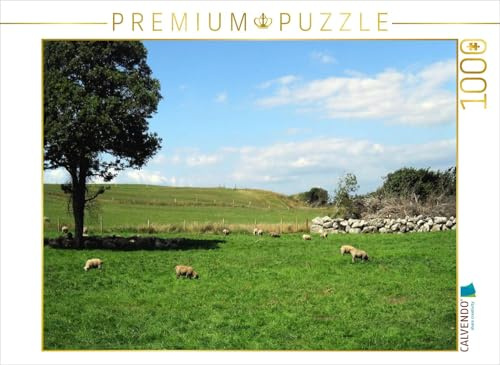 CALVENDO Puzzle Graslands | 1000 Teile Lege-Größe 64 x 48 cm Foto-Puzzle für glückliche Stunden
