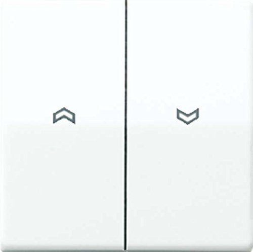 Jung ABAS591-5P Bouton poussoir pour volet roulant Symbole plaque centrale Blanc ivoire