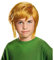 Legend of Zelda Link Child Costume Wig