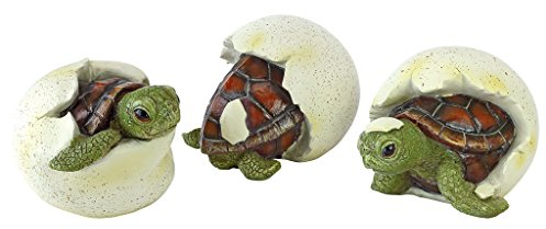 Design Toscano DREI Figuren Gerade aus dem Ei geschlüpfte Babyschildkröte, Mehrfarbig, 9 x 10 x 6,5 cm, QM2562500