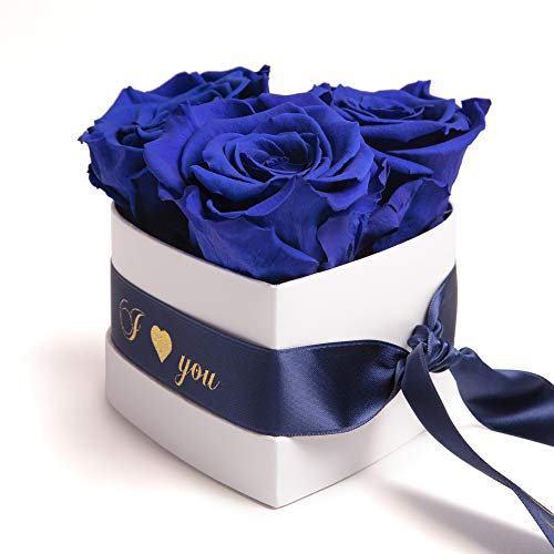 ROSEMARIE SCHULZ Heidelberg Infinity Rosenbox Herz - 10x12cm 3 konservierte Blaue Rosen haltbar 3 Jahre Valentinsday Gift Box for Woman (I Love You, Blau)