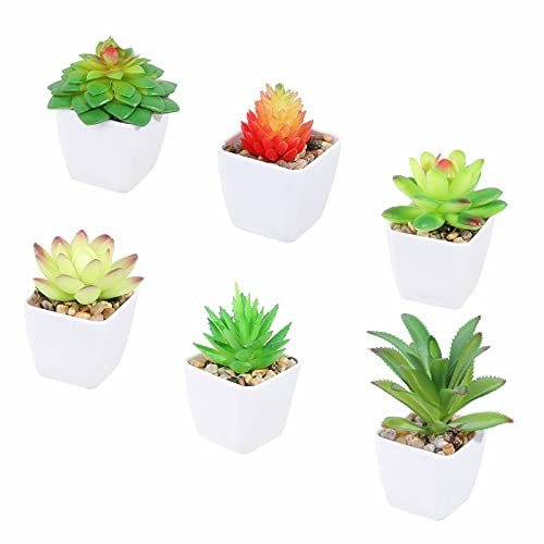 Tifuly 6 Pcs Artificial Potted Succulent Plants, Realistic Small Succulents Fake Greenery Mini Simulation Plant with Melamine White Pot for Home Office School Decoration (Combination 2)