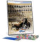 Kits de pintura por números para adultos y niños, Picador atrapado por el toro, pintura por Francisco Goya, pintura por números, kits sobre lienzo