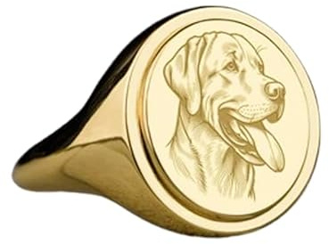 WORLD WIDE GEMS Chesapeake Bay Retriever Siegelring | Hunderassenschmuck | gravierter ovaler Schmuck für Haustierliebhaber | 925er Sterlingsilber (Ringgröße US 5-12,5) vergoldet, 15x13mm, Sterling