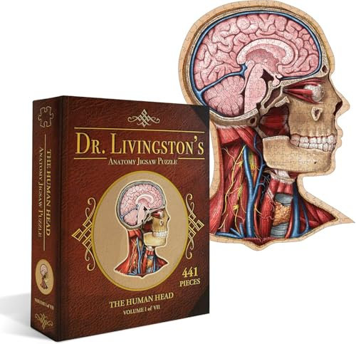 Genius Games Human Head - A Dr. Livingston's Human Anatomy 500 Piece Brain Jigsaw Puzzle - Educational 23 Inch Learning Toy for Children - Fun Kids Learn Medical Science Game - Anatomical Organs 3101