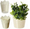 KADAX Spitzen-Blumentopf aus Kunststoff, 9 Farben, Blumentopf mit Spitzenmotiv, Blumentopfschutz für Büro, Topf, Gartenschale, Blumenkübel, Übertopf (⌀ 16,5cm, Niedrig, Creme)
