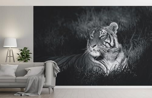 Wall Murals Online Ltd Animal Wallpaper Black and White Tiger Wall Mural for Bedroom Living Room Home & Office (14751945) (220gsm Premium Paper, XXL 300cm Wide x 240cm High)