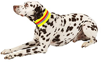 Heim Signalhalsband für Hunde 44 cm