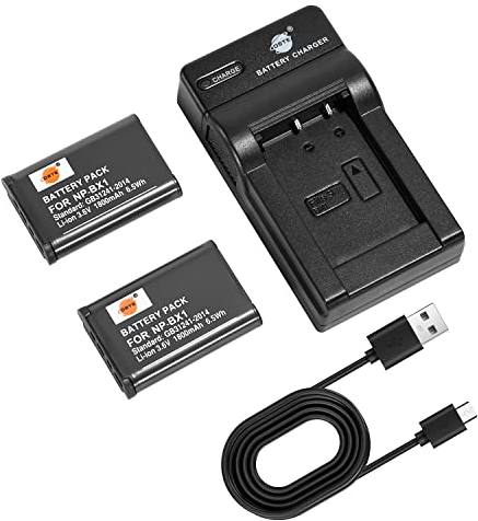DSTE NP-BX1 Lot de 2 batteries et chargeur compatibles avec Sony Cyber-Shot DSC-RX100 VII, DSC-RX100 II, DSC-RX100M II, DSC-RX100 III, DSC-RX100 V, DSC-RX100 IV