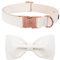 Elegant little tail Hundehalsband mit Schleife - Weiß Hundehalsband mit Schleife Premium-Halsband Mädchen Jungen Hundehalsband Niedliches Hundehalsband für mittelgroße Hunde