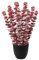 Briful 40CM Eucalyptus Artificial Plants in Pot, Frosted Red Artificial Eucalyptus Fake Plants in Black Pot, Decorative Artificial Plants Faux Greenery for Home Kitchen Bathroom Decor