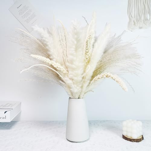 Erba di Pampas secca naturale decorative,Erba di Pampa Essiccata Naturale Erba Della Pampas Bouquet di Fiori Secchi per Home Decor Wedding Boho Decor (58 pezzi)