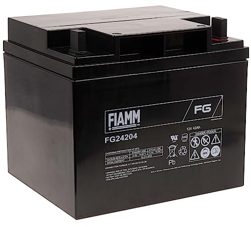 FIAMM Batterie rechargeable au plomb FG24204 VDS