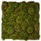REPITERRA Terrarium Rückwand 3D Hintergrund Deko Naturlook Moos 58x58cm für Terrarien Ausbau