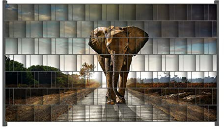 Wallario Zaun Sichtschutz Windschutz für EIN- und Doppelstabmattenzäune in der Größe Breite 2,50m x Höhe 1,40m, Motiv: Elefant bei Sonnenaufgang in Afrika