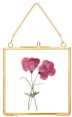 REDHUGO Cadres pour fleurs pressées, cadres flottants en verre pour afficher des spécimens de plantes séchées, photos, cadre photo en laiton avec chaîne suspendue, double vitrage clair, carré