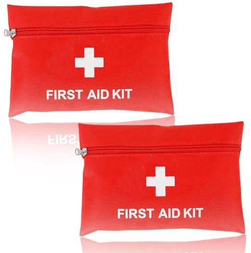 CPJJ 2pcs porta medicine da viaggio,Set da Viaggio Medica Portatile,Borsa di Stoccaggio Impermeabile per Viaggi, Casa, Ufficio(21 * 14cm)