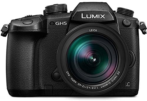 Panasonic LUMIX GH5 4K Mirrorless Camera with Lecia VARIO-Elmarit 12-60mm F2.8-4.0 Lens (DC-GH5LK)