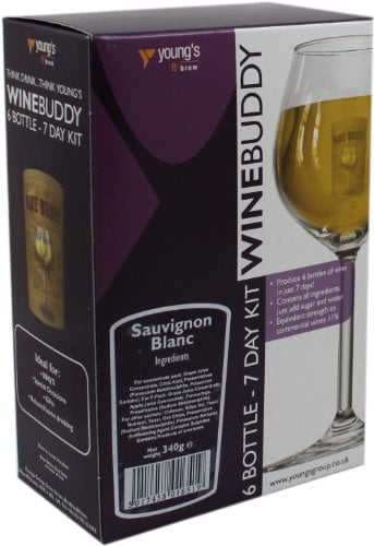 Wine Buddy/Youngs 6 Bottle Sauvignon Blanc