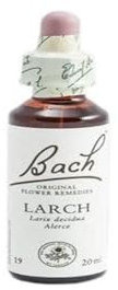 Flores De Bach Originales Fb Larch 20Ml. (Bachblüten)