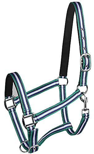PFIFF 101517 Kunststoffhalfter, Weidehalfter Stallhalfter, Blau-Weiß-Grün, Pony