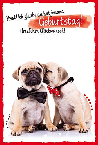 bsb Geburtstagskarte Geburtstagsgrüße Geburtstagswünsche - Hunde - Umschlag weiss, 591041-2