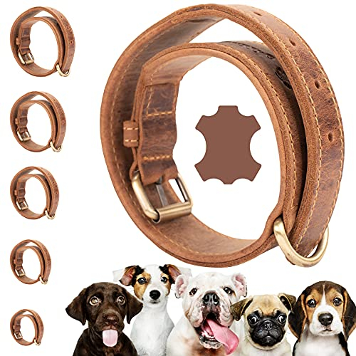 Darcis Hundehalsband Braun - Extrem Robustes Lederhalsband aus hochwertigem Rindsleder - Ideal für Starke Hunde - Halsband Hund - Hundehalsband Leder - Lederhalsband Hund - 60-67,5 cm Halsumfang