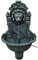 INLIFE Fontana a Muro Design a Testa di Leone Casa e Giardino, Arredo (1,8KG)