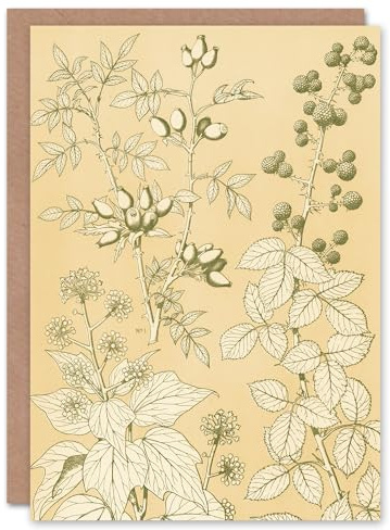 Artery8 Owen Jones Art Card Wild Rose Ivy Blackberry Vintage Botanical