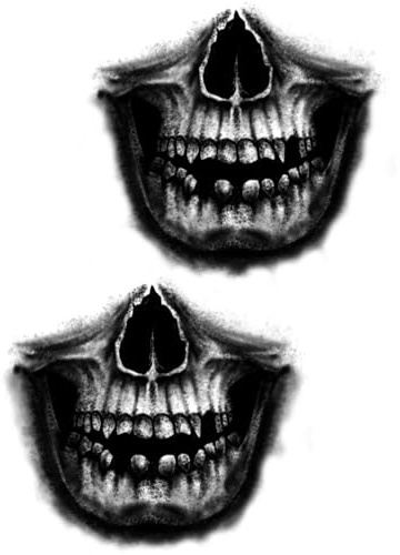 x3 Tatouage Éphémère tête de mort pour la main - 1 lot de 3 Feuilles de tatouage temporaire | Main, Bras, épaule, mollet, cuisse, jambe | Noir | Homme, Femme - TATTOO YOUR STYLE