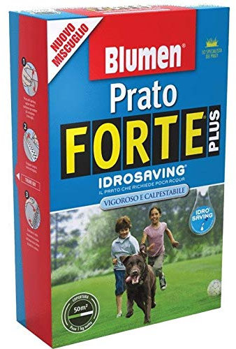 PRATO FORTE BLUMEN - SCATOLA KG 1