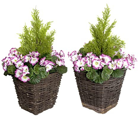 GreenBrokers 2 x Künstliche Rattan-Pflanzgefäße mit lila Geranie und Zedern-Formschnitt