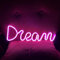 Dream Neon Sign – Lampada da notte illuminata a LED con lettera da sogno, decorazione artistica al neon, alimentazione USB/a batteria (rosa)